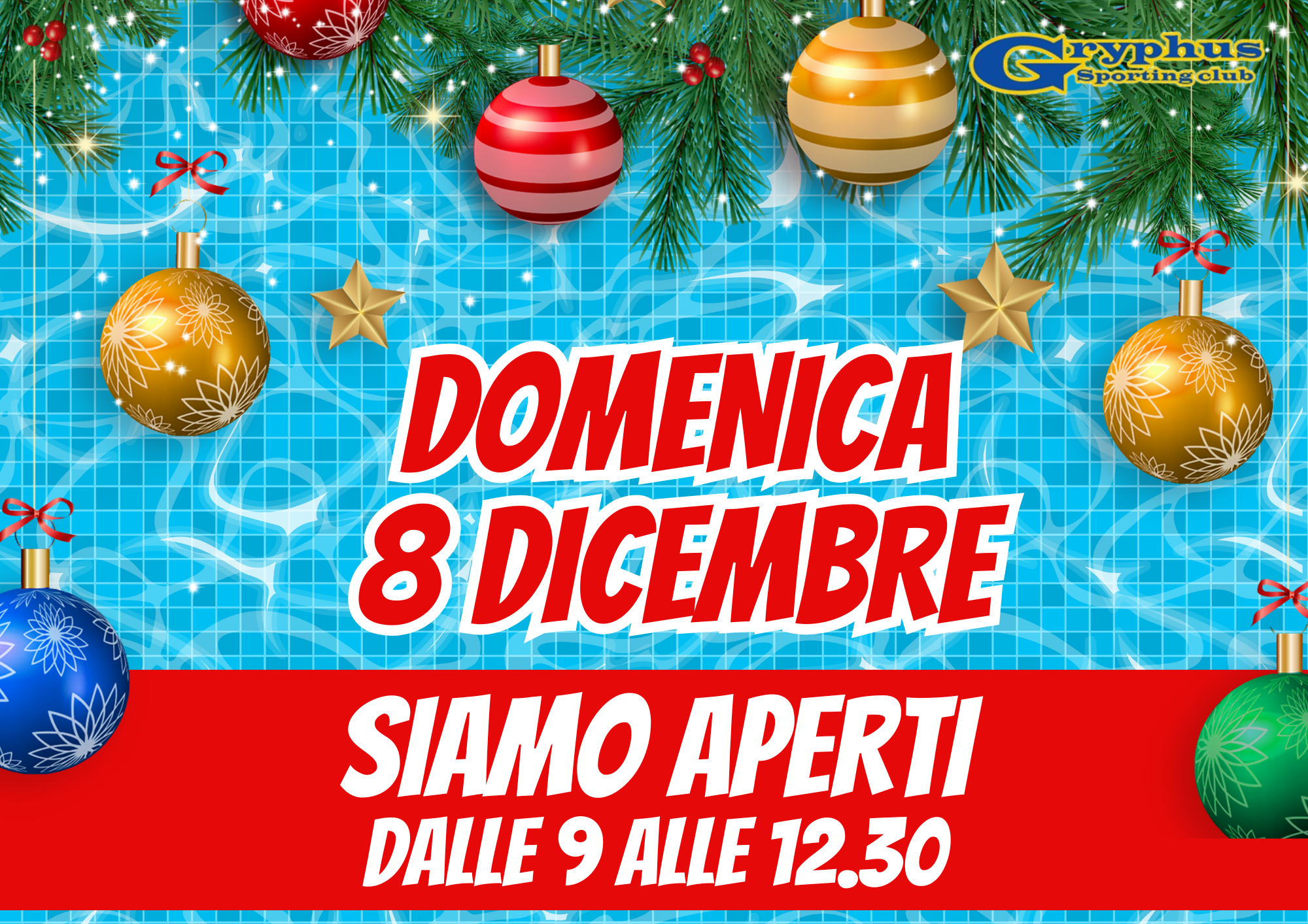 Domenica 8.12